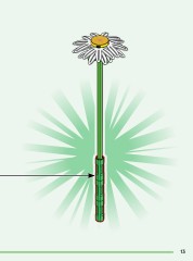 LEGO 11508 instructions page 13 – build guide