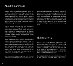 LEGO 21017 instructions page 12 – build guide