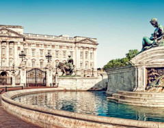 LEGO 21029 instructions page 11 – build guide