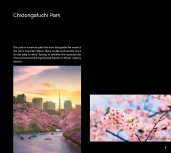 LEGO 21051 instructions page 7 – build guide