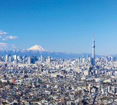 LEGO 21051 instructions page 86 – build guide