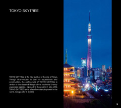 LEGO 21051 instructions page 9 – build guide