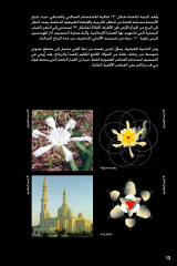 LEGO 21055 instructions page 13 – build guide