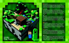 LEGO 21106 instructions page 3 – build guide