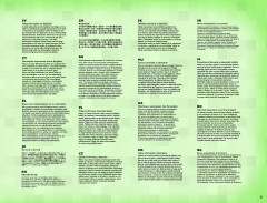 LEGO 21117 instructions page 3 – build guide