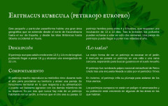 LEGO 21301 instructions page 12 – build guide