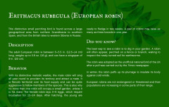 LEGO 21301 instructions page 4 – build guide