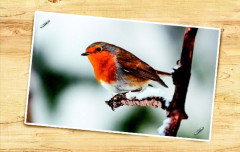 LEGO 21301 instructions page 5 – build guide