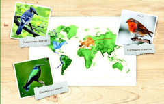 LEGO 21301 instructions page 77 – build guide