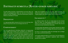 LEGO 21301 instructions page 8 – build guide