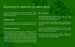 LEGO 21301 instructions page 12 – build guide