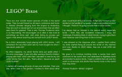 LEGO 21301 instructions page 2 – build guide