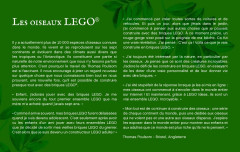 LEGO 21301 instructions page 6 – build guide
