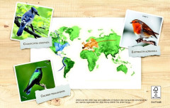 LEGO 21301 instructions page 76 – build guide