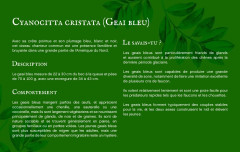 LEGO 21301 instructions page 8 – build guide