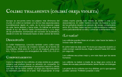 LEGO 21301 instructions page 12 – build guide