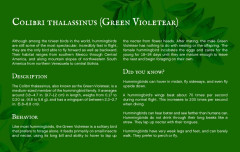 LEGO 21301 instructions page 4 – build guide