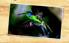 LEGO 21301 instructions page 5 – build guide