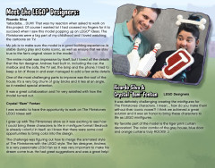 LEGO 21316 instructions page 3 – build guide