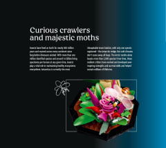 LEGO 21342 instructions page 6 – build guide