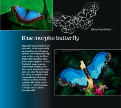 LEGO 21342 instructions page 7 – build guide