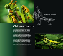 LEGO 21342 instructions page 9 – build guide