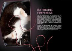 LEGO 21349 instructions page 6 – build guide