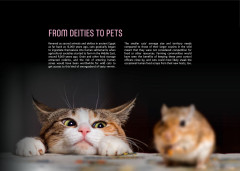 LEGO 21349 instructions page 7 – build guide