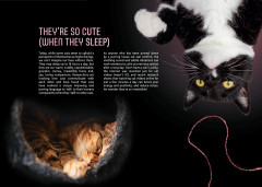 LEGO 21349 instructions page 8 – build guide