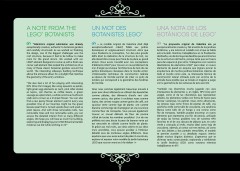 LEGO 21353 instructions page 11 – build guide