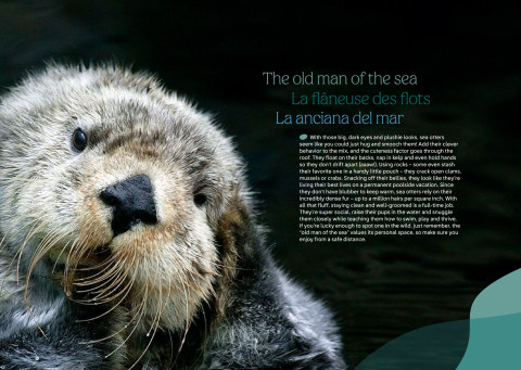 LEGO 21366 instructions page 8 – build guide