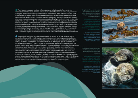 LEGO 21366 instructions page 9 – build guide