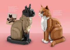 LEGO 21376 instructions page 5 – build guide