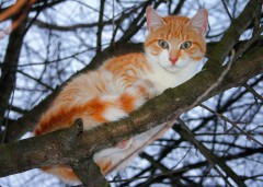 LEGO 21376 instructions page 6 – build guide