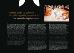 LEGO 21376 instructions page 7 – build guide