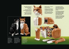 LEGO 21376 instructions page 9 – build guide
