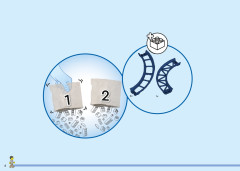 LEGO 31142 instructions page 6 – build guide