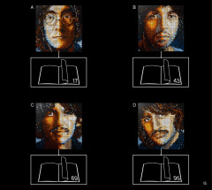 LEGO 31198 instructions page 15 – build guide