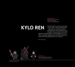 LEGO 31200 instructions page 11 – build guide