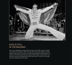 LEGO 31204 instructions page 7 – build guide