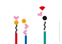 LEGO 31210 instructions page 48 – build guide