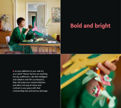 LEGO 31211 instructions page 7 – build guide