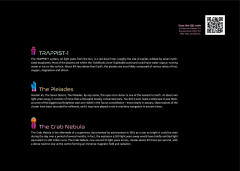 LEGO 31212 instructions page 3 – build guide