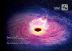 LEGO 31212 instructions page 2 – build guide