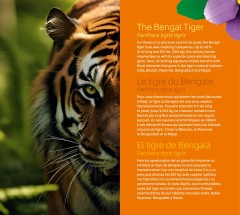 LEGO 31217 instructions page 6 – build guide