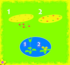 LEGO 3149 instructions page 21 – build guide