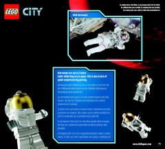 LEGO 3367 instructions page 71 – build guide