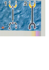 LEGO 3520 instructions page 4 – build guide