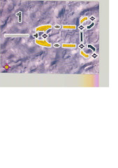 LEGO 3520 instructions page 8 – build guide