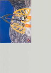 LEGO 3532 instructions page 16 – build guide